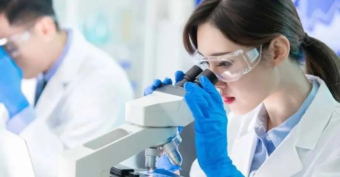 باحثون صينيون يطورون نظاما ذكيا لعلم الجينوم الوظيفي للنبات باحثون صينيون يطورون نظاما ذكيا لعلم الجينوم الوظيفي للنبات