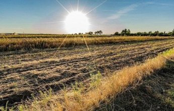 موجات الحر تدفع المملكة المتحدة لتعزيز أمنها البيولوجي باستثمار ضخم.. ما التفاصيل؟