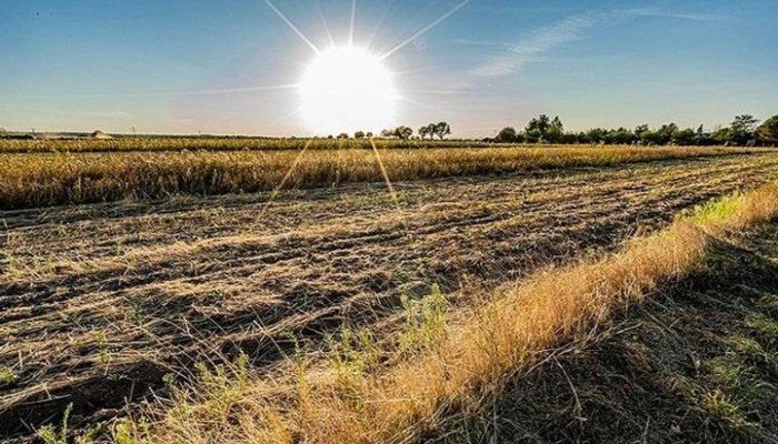 موجات الحر تدفع المملكة المتحدة لتعزيز أمنها البيولوجي باستثمار ضخم.. ما التفاصيل؟ موجات الحر تدفع المملكة المتحدة لتعزيز أمنها البيولوجي باستثمار ضخم.. ما التفاصيل؟