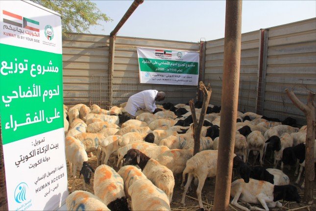 بيت الزكاة الكويتي ينفذ مشروع توزيع لحوم الأضاحي باليمن بيت الزكاة الكويتي ينفذ مشروع توزيع لحوم الأضاحي باليمن
