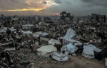 رئيس مجلس الشيوخ الإيطالي يؤكد ضرورة وضع حد نهائي وفوري للمعاناة في غزة