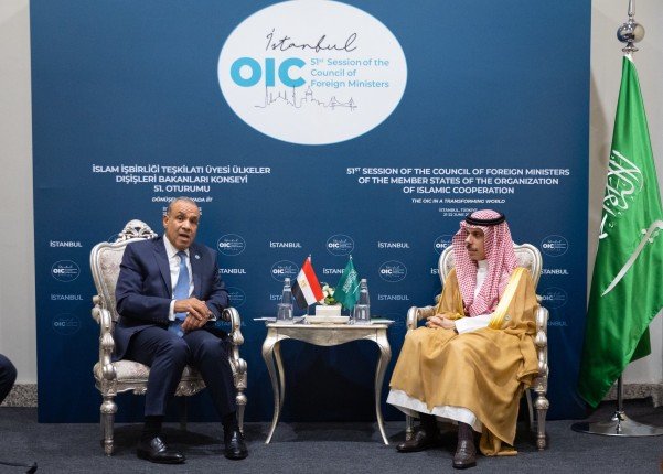 مصر والسعودية تناقشان تداعيات التصعيد بين إسرائيل وإيران على المنطقة مصر والسعودية تناقشان تداعيات التصعيد بين إسرائيل وإيران على المنطقة