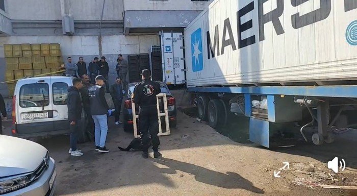 ضبط نصف طن مخدرات بالمكسيك مخبأة فى صناديق محملة بالحلويات ضبط نصف طن مخدرات بالمكسيك مخبأة فى صناديق محملة بالحلويات