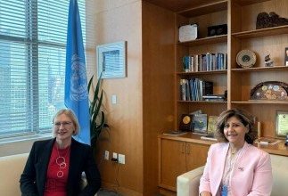 الكويت تؤكد أهمية تضمين قضايا حقوق الإنسان في مساعي السلام والمصالحة الوطنية والمفاوضات