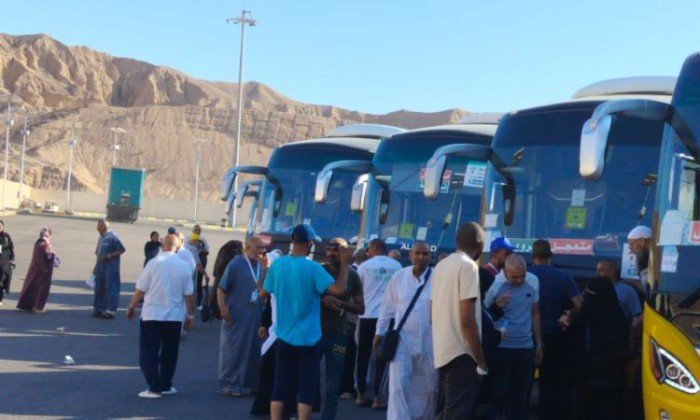 مصر.. عودة 55% من الحجاج عبر البر وتوجيه بالإسراع في استكمال رحلات العودة مصر.. عودة 55% من الحجاج عبر البر وتوجيه بالإسراع في استكمال رحلات العودة