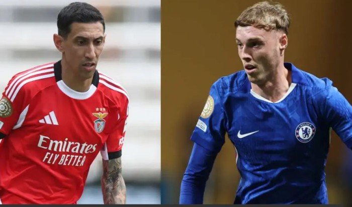 بث مباشر.. مشاهدة مباراة بنفيكا وتشيلسي في كأس العالم للأندية بث مباشر.. مشاهدة مباراة بنفيكا وتشيلسي في كأس العالم للأندية