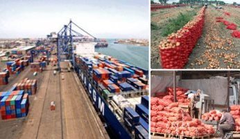 190 ألف طن صادرات غذائية مصرية خلال أسبوع والعنب والفاصولياء فى الصدارة