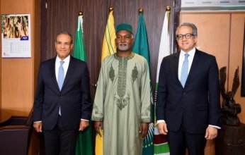 مصر.. وزير الخارجية يعقد جلسة مباحثات ثنائية مع نظيره النيجيري في أبوجا