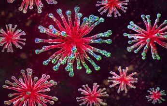 اختراق علمي جديد يمهد لتطوير علاج شامل ضد جميع الفيروسات