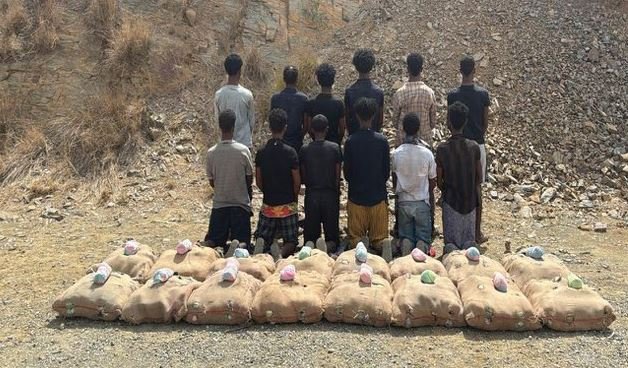 ضبط 12 شخصا لمحاولتهم تهريب كمية من نبات القات المخدر بجازان ضبط 12 شخصا لمحاولتهم تهريب كمية من نبات القات المخدر بجازان