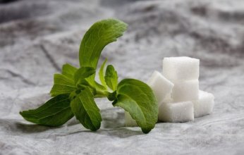 مستخلص طبيعي يعيد الأمل في مكافحة سرطان البنكرياس