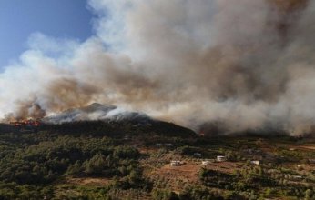 سوريا.. فرق دعم إضافية من المحافظات لمواجهة حرائق غابات اللاذقية