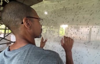 طبيب يترك مهنة الطب ويتجه لتربية الذباب.. لهذا السبب