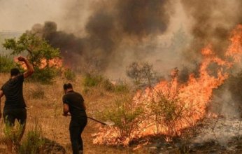 تركيا.. شاب يشعل وسادة للتخلّص من قرادة ويتسبب بحريق غابات واسع في ولاية مانيسا