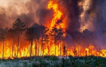 اندلاع حرائق غابات في جنوب فرنسا بعد موجة حر شديدة