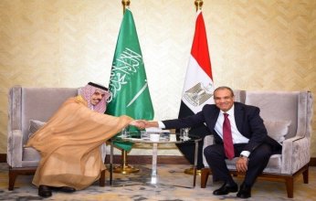 وزير الخارجية المصري: لن تنجح أي محاولات يائسة للإساءة للعلاقات التاريخية بين مصر والسعودية