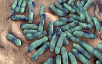 10 أشياء يومية مليئة بالبكتيريا الخفية.. احذرها لتحمي صحتك