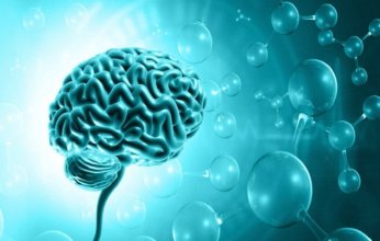 دراسة جديدة تحذر: مواد كيميائية "أبدية" قد تؤثر سلباً على نمو أدمغة الذكور