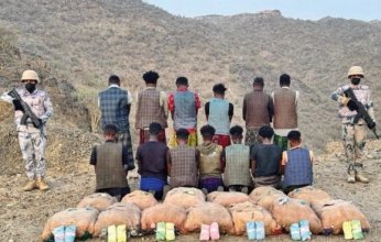 ضبط 13 شخصا لمحاولتهم تهريب كمية من نبات القات المخدر بمنطقة عسير