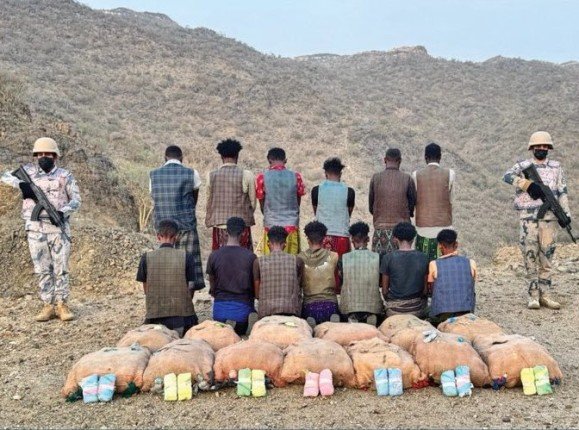 ضبط 13 شخصا لمحاولتهم تهريب كمية من نبات القات المخدر بمنطقة عسير ضبط 13 شخصا لمحاولتهم تهريب كمية من نبات القات المخدر بمنطقة عسير