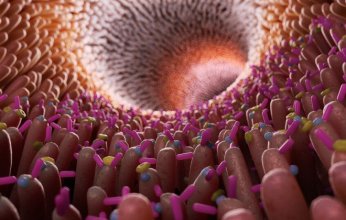 أمل جديد في مواجهة "السموم الخفية".. بكتيريا الأمعاء قد تخلّص الجسم من المواد الكيميائية المسببة للسرطان