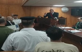 مصر.. السجن 15 عامًا لـ سائق «التريلا» المتسبب في مصرع 19 ضحية على الطريق الإقليمى بالمنوفية