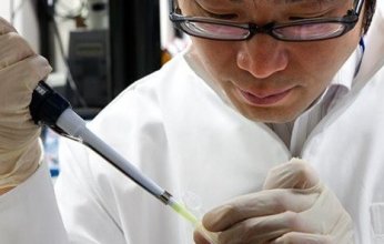 فريق بحثي ينجح في تنمية رئات مصغّرة باستخدام خلايا جذعية من مرضى يعانون من الطفرات