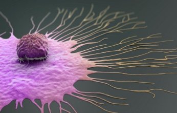 اختراق علمي واعد في علاج سرطان الثدي.. اكتشاف مفتاح بيولوجي قد يوقف انتشار المرض