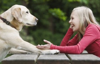 هل ينجح الذكاء الاصطناعي في فتح آفاق جديدة للتواصل بين البشر وحيواناتهم الأليفة؟ مشروع جدلي يحاول الإجابة