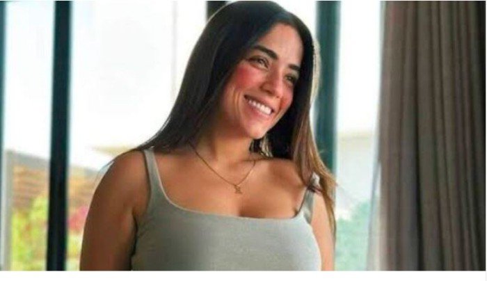 تفاصيل تعرض الفنانة آية سليم للسرقة في مطار باريس تفاصيل تعرض الفنانة آية سليم للسرقة في مطار باريس