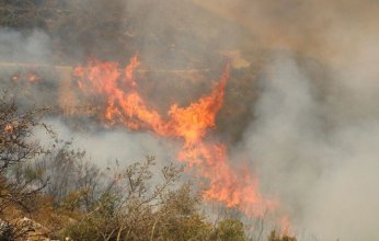 سوريا.. حرائق الغابات تهدد مناطق الساحل ومحافظة حماة