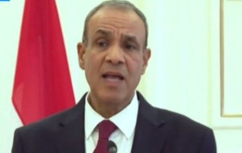 عبد العاطي: خسائر مصر من عوائد قناة السويس 8.5 مليار دولار