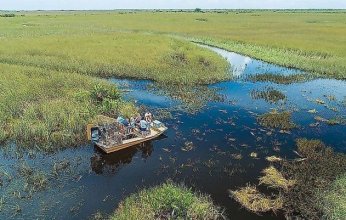 خطر فقدان خمس الأراضي الرطبة يهدد التوازن البيئي والاقتصادي بحلول 2050