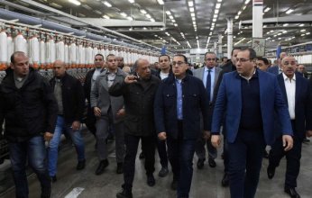 الحكومة المصرية تتجه لتغيير نشاط أكبر قلعة صناعية في البلاد