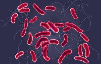 تحذيرات من تفاقم وباء الكوليرا في السودان.. ونداءات عاجلة لتدخل دولي