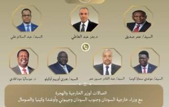 مصر.. وزير الخارجية يُجري اتصالات مع عدد من نظرائه في الدول الإفريقية لتعزيز التعاون الثنائي والإقليمي