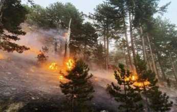 تركيا تلجأ لقطع الكهرباء مؤقتًا للحد من حرائق الغابات.. ما التفاصيل؟