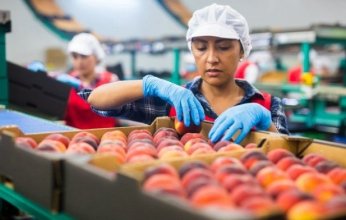 المجلس التصديري للصناعات الغذائية يعلن ارتفاع الصادرات لتتجاوز 4 مليار دولار