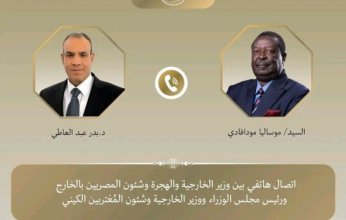 مصر.. وزير الخارجية يجري اتصالاً مع نظيره الكيني