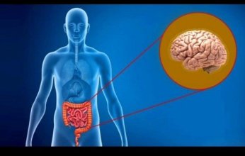 كيف يؤثر الجهاز الهضمي على الحالة النفسية؟ دراسات حديثة تجيب