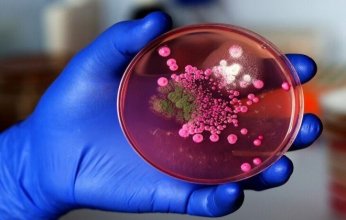 تحذير طبي.. فطر قاتل يهاجم الدماغ البشري ويثير قلق الأطباء