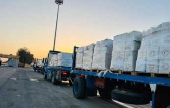 الهلال الأحمر المصري يدفع 2300 طن مساعدات غذائية وطبية إلى غزة