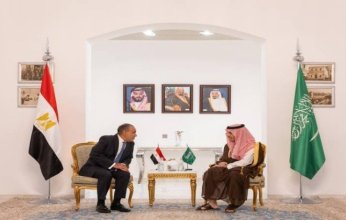 وزيرا خارجية مصر والسعودية يجددان رفضهما للعدوان الإسرائيلي على غزة