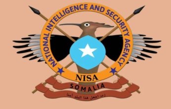 مقتل 11 من عناصر ميليشيات الشباب في عمليتين عسكريتين بالصومال