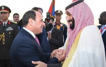 مصر والسعودية تشددان على ضرورة الإسراع في إدخال المساعدات الإنسانية إلى غزة دون عوائق