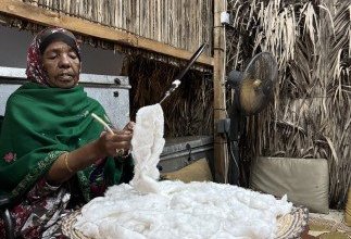 خريف ظفار.. بساط أخضر يروي قصة عمانية بين جمال الطبيعة وأصالة التاريخ