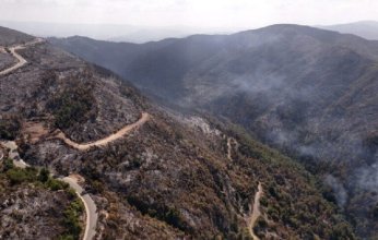 سوريا تعلن السيطرة الكاملة على حرائق الغابات في ريف حماة الغربي