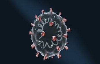 هل البشرية مستعدة لمواجهة أوبئة جديدة؟ عالم فيروسات روسي يجيب