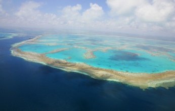 العلماء يطلقون تحذيرًا عاجلًا.. الحاجز المرجاني العظيم يفقد ثلث غطائه خلال عام