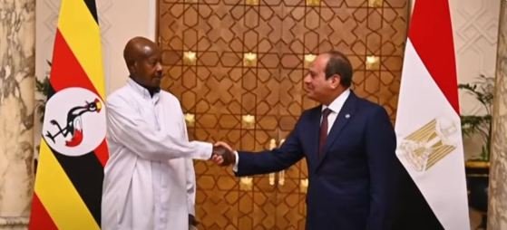مصر.. بدء مباحثات الرئيس السيسي ونظيره الأوغندي بقصر الاتحادية مصر.. بدء مباحثات الرئيس السيسي ونظيره الأوغندي بقصر الاتحادية